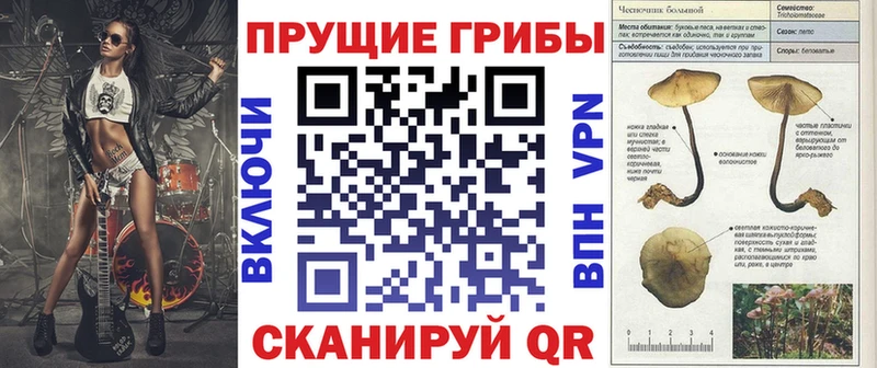 Галлюциногенные грибы MAGIC MUSHROOMS  Купить закладки  Аксай 