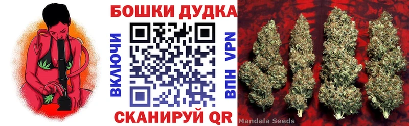 Купить  Аксай  Канабис OG Kush 